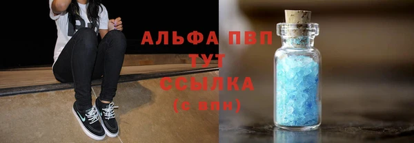 стаф Абинск