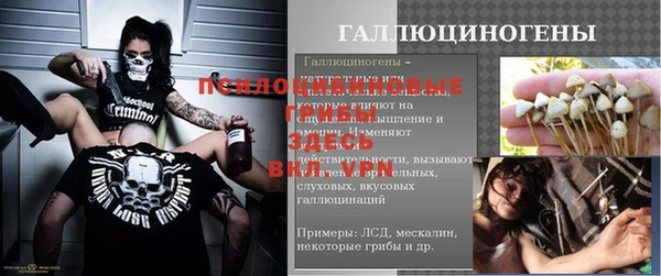 стаф Абинск