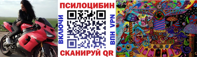 Псилоцибиновые грибы Psilocybe МЕГА tor Рыльск